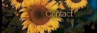 Contact Me and send me a comment ? ..........